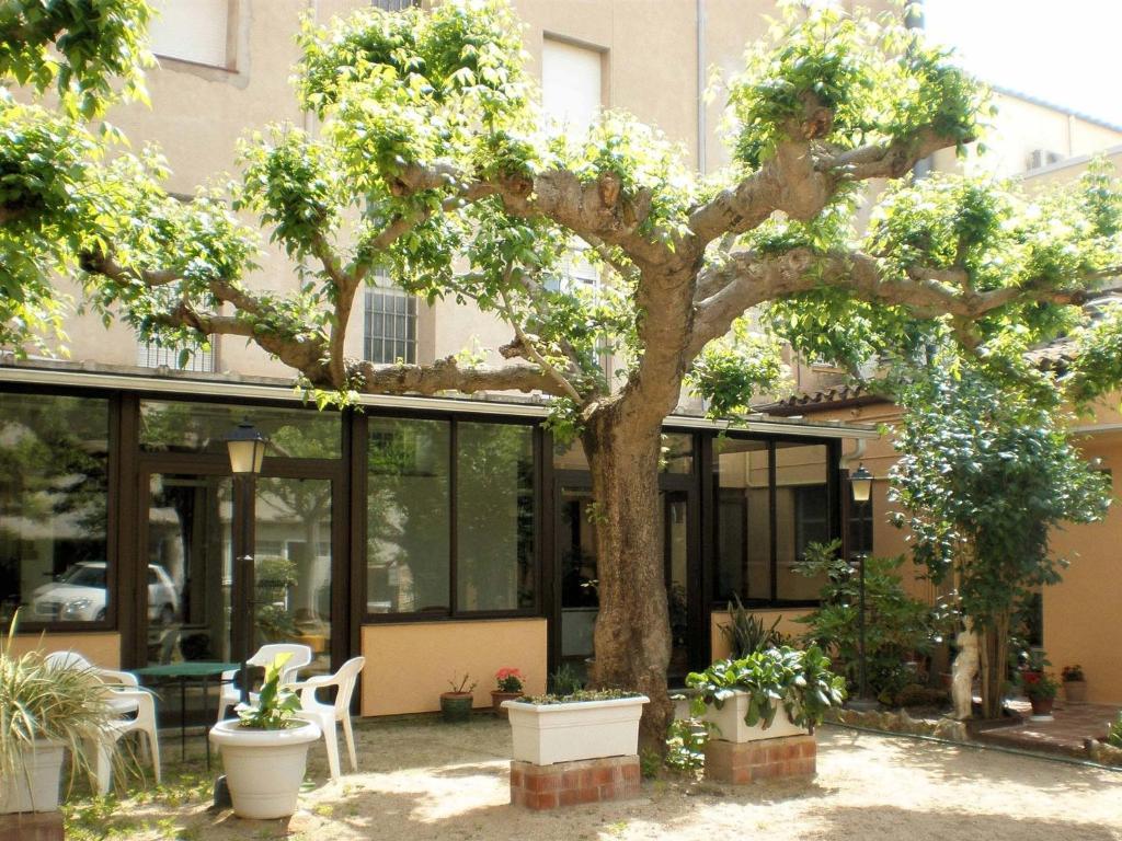 Hostal Fabrellas Caldes de Malavella Exteriér fotografie